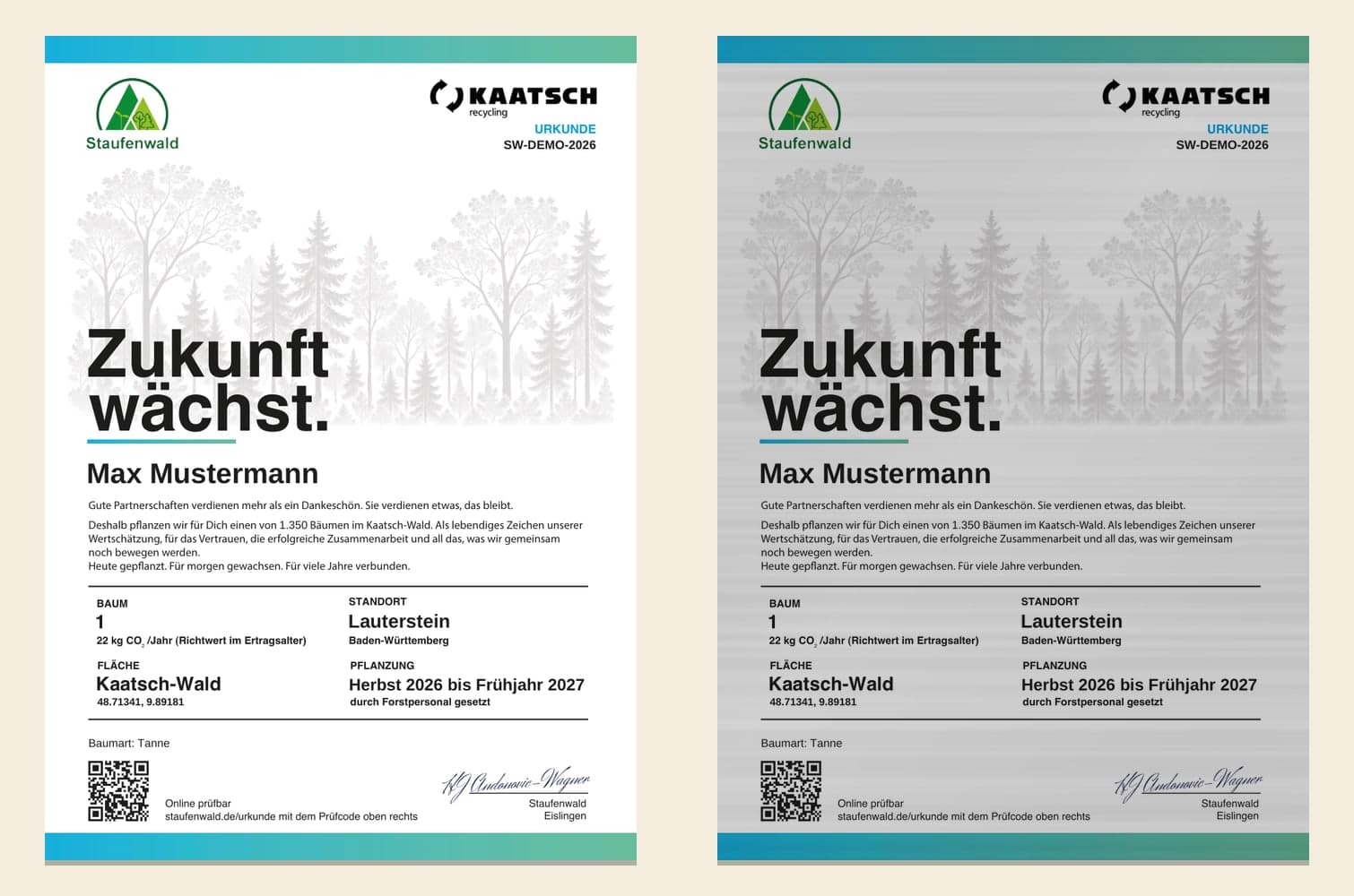 Musterurkunde von Kaatsch Recycling mit dem Beispielnamen Max Mustermann, links auf Papier, rechts als Simulation auf gebürstetem Aluminium: Logos von Staufenwald und Kaatsch, Titel „Zukunft wächst.“, Fläche Kaatsch-Wald, Standort Lauterstein, Baumart Tanne