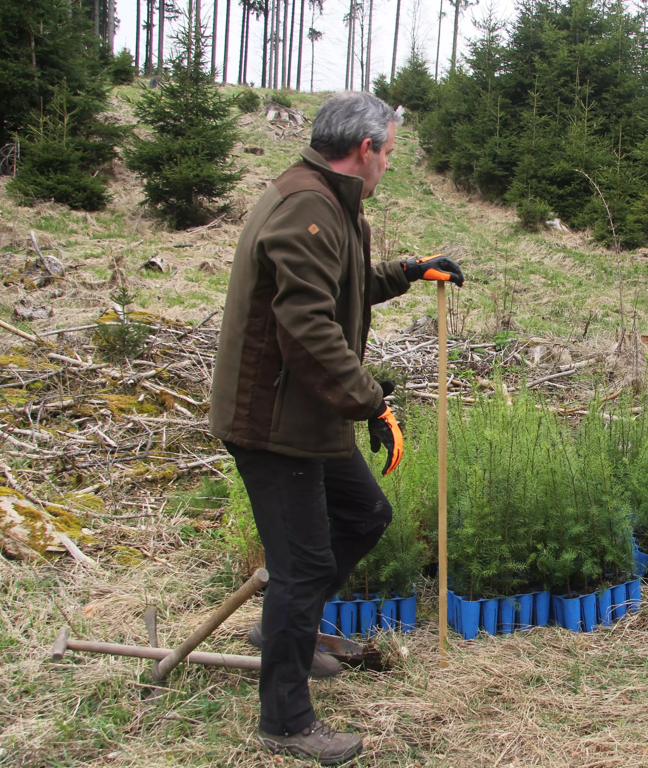 2024 Baumpflanzaktion AOS 08 scaled / Staufenwald - Für eine grünere Zukunft