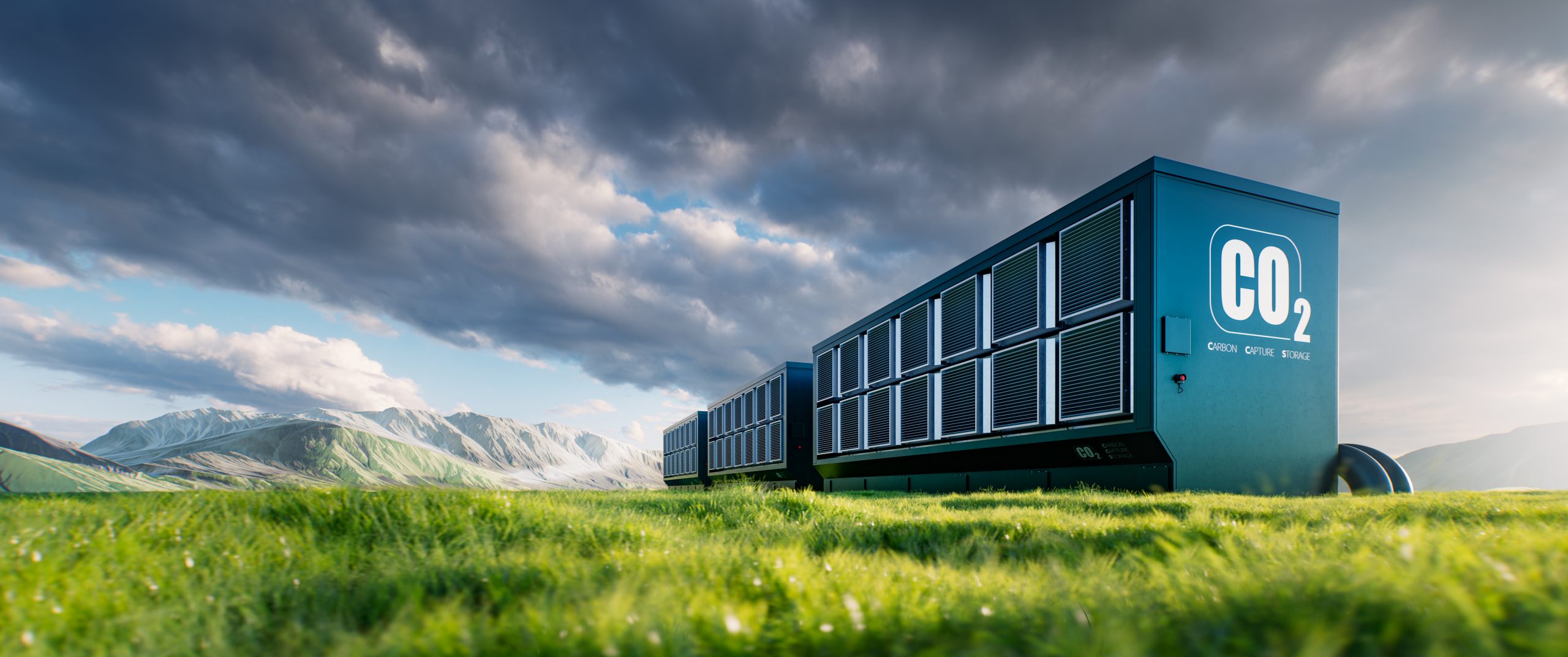 Wie viel CO₂ bindet eine Eiche? 1 AdobeStock 1033564756 scaled / Staufenwald - Für eine grünere Zukunft