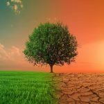 Klima in Baden-Württemberg