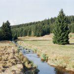 Wie signalisiert das Staufenwald-Gütesiegel unternehmerisches Engagement im Klimaschutz?