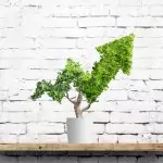 Die besten nachhaltigen Affiliate-Programme: Ein Überblick