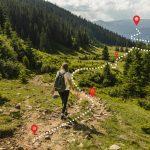 Wie trägt nachhaltige Forstwirtschaft zur lokalen Wirtschaft bei?