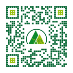 Social Media Kampagnen