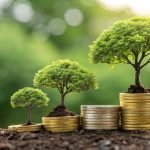 Kosten Baum pflanzen