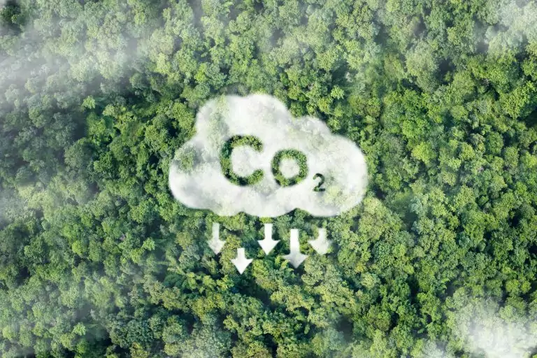 CO₂-Speicherung